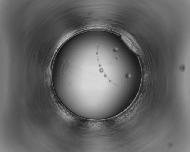 X0000101201242200806271343