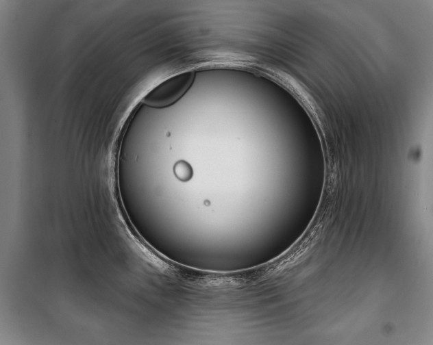 X0000101201243200806271343