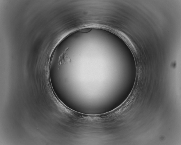 X0000101201244200806271343