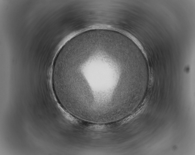 X0000101201245200806271343