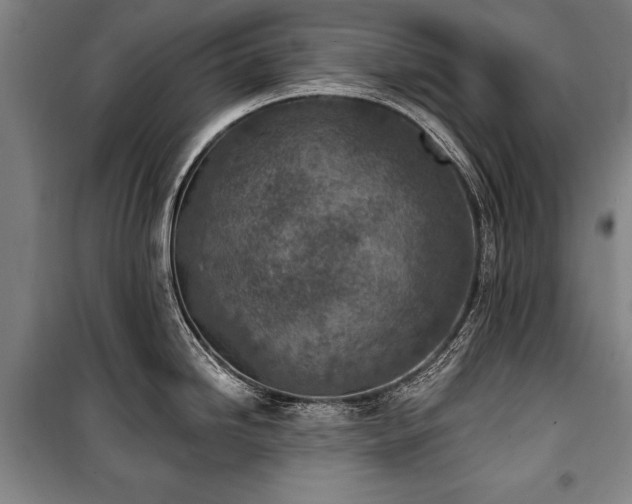 X0000101201246200806271343