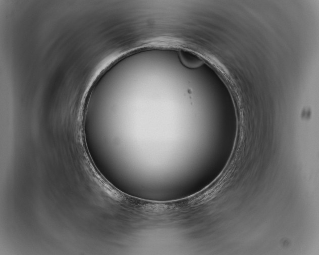 X0000101201248200806271343