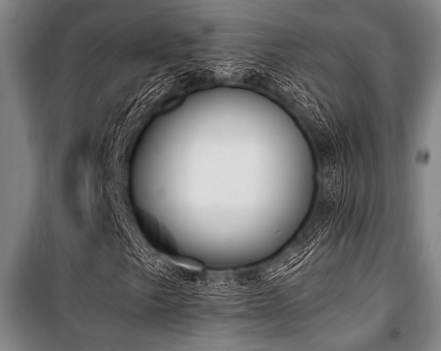 X0000101201249200806271342