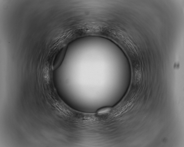 X0000101201250200806271342