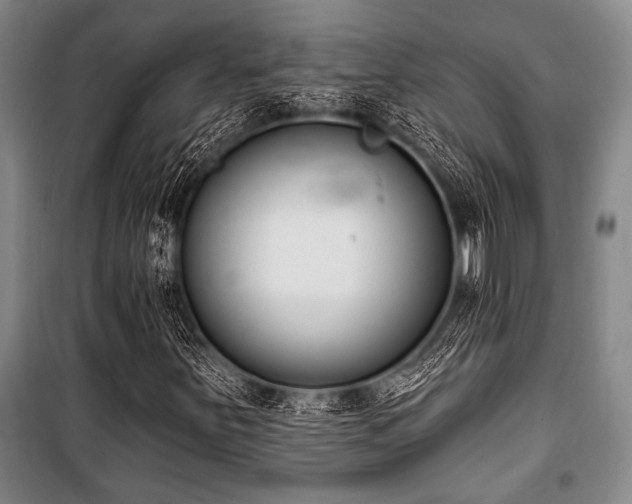 X0000101201251200806271342