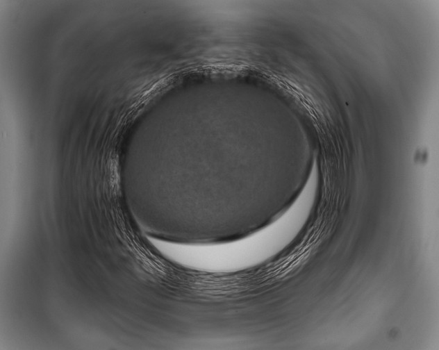 X0000101201252200806271342