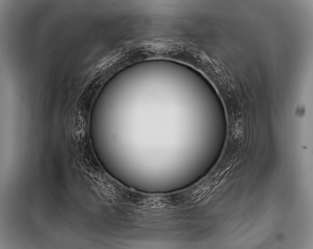 X0000101201253200806271342