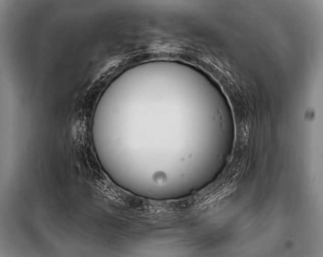 X0000101201254200806271342
