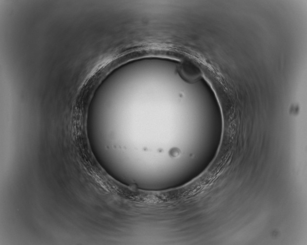X0000101201255200806271342