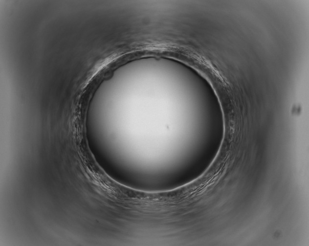 X0000101201256200806271342
