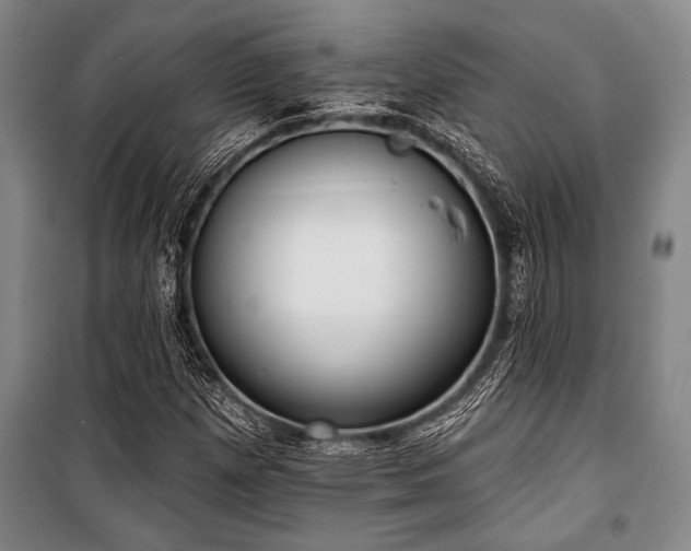 X0000101201257200806271342