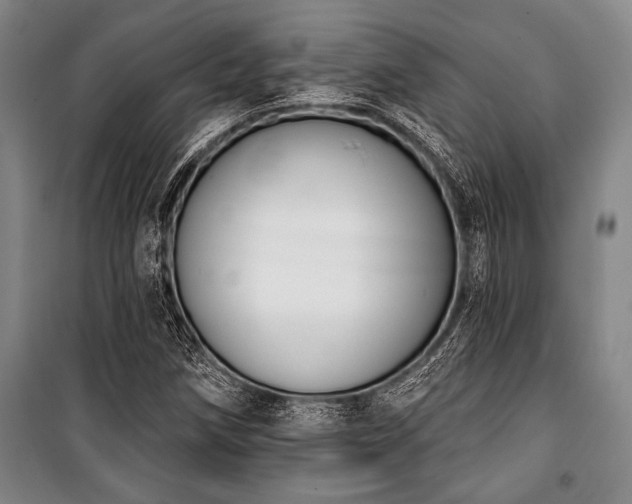 X0000101201258200806271342