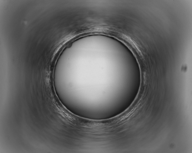 X0000101201260200806271342