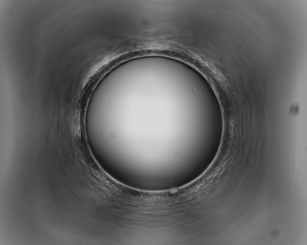 X0000101201262200806271342
