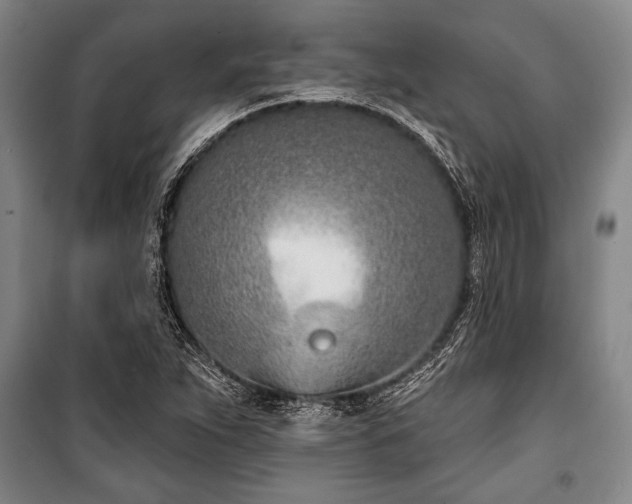 X0000101201263200806271342