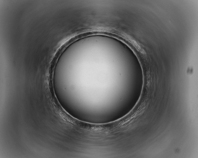 X0000101201264200806271342