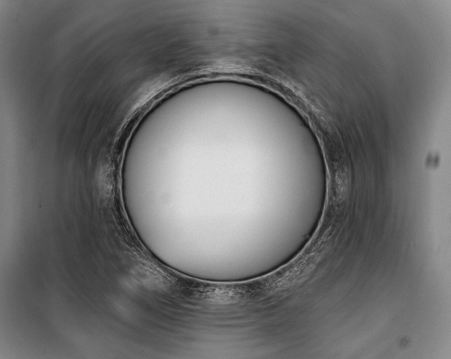 X0000101201266200806271342