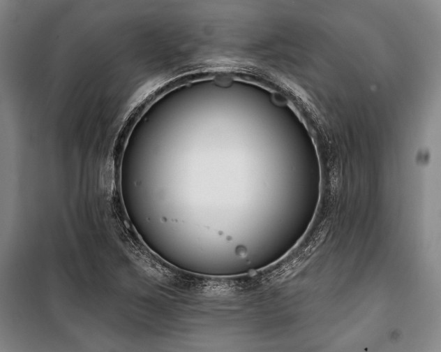 X0000101201267200806271342