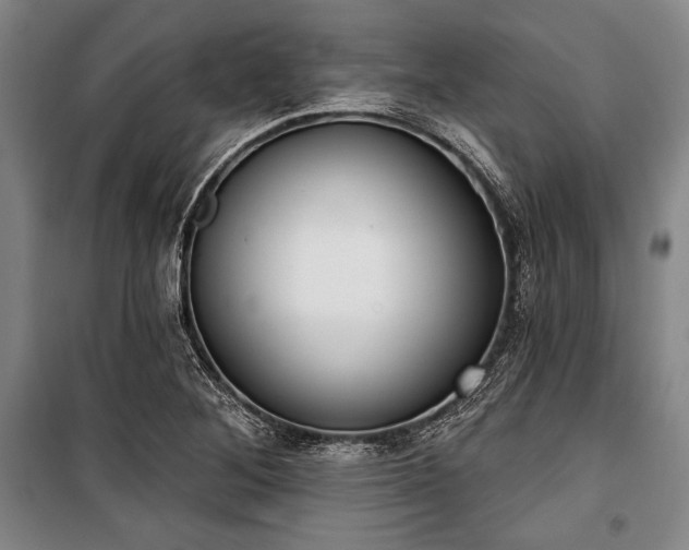 X0000101201268200806271342