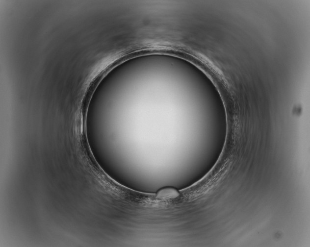 X0000101201269200806271342