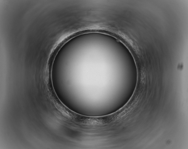 X0000101201270200806271342