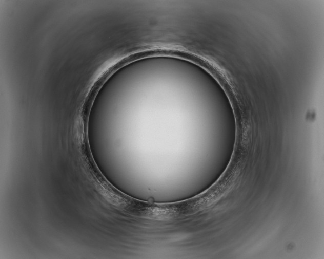 X0000101201271200806271342
