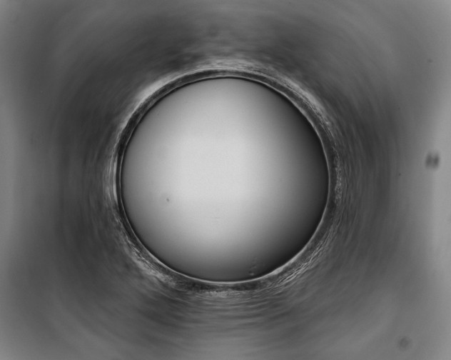 X0000101201272200806271342