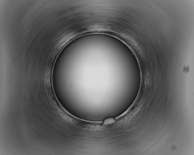 X0000101201273200806271342