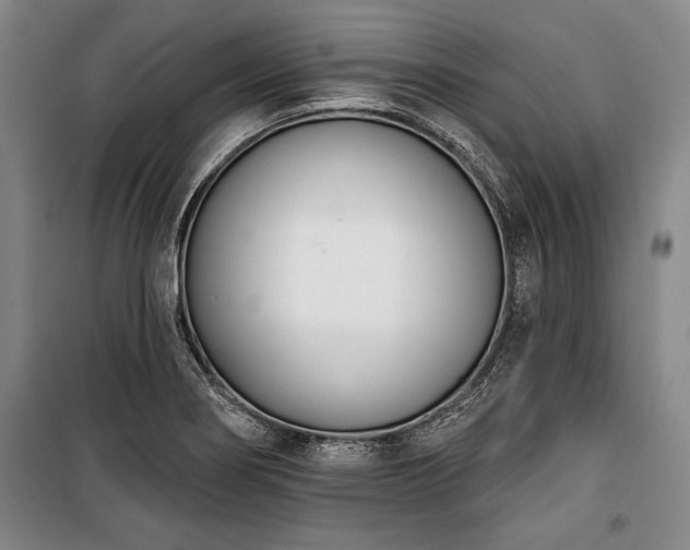 X0000101201274200806271342