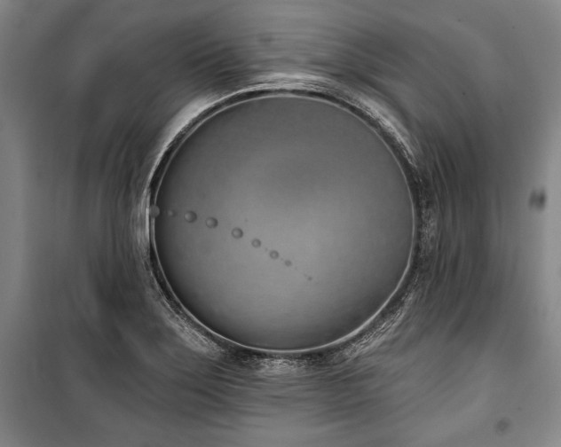 X0000101201275200806271342