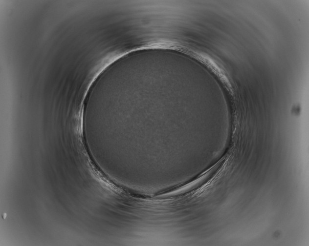 X0000101201276200806271342
