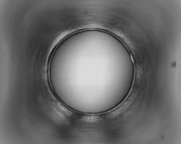 X0000101201278200806271342