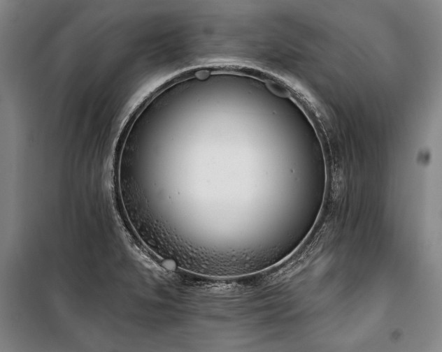 X0000101201279200806271342