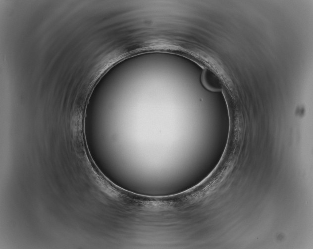 X0000101201281200806271342