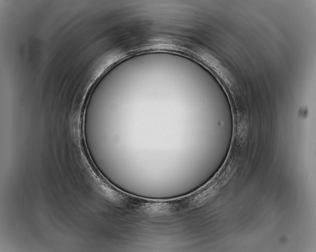 X0000101201282200806271342