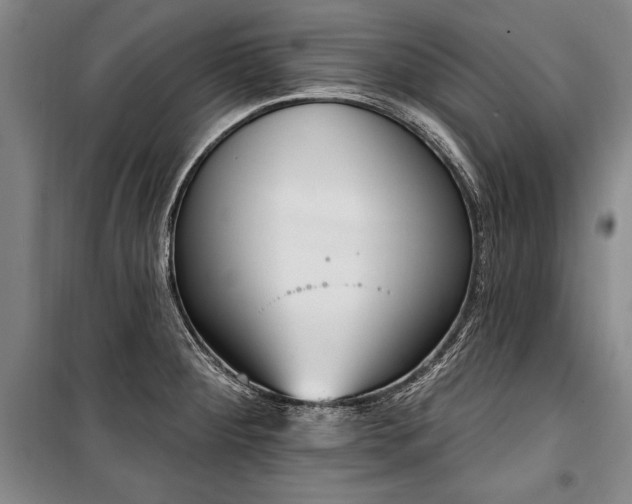 X0000101201284200806271342