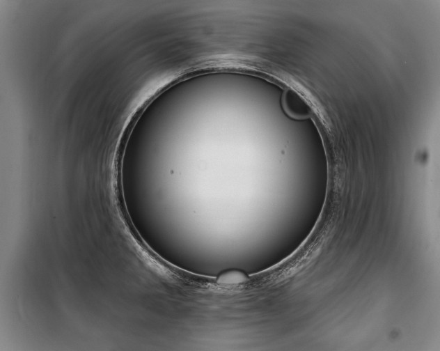 X0000101201285200806271342
