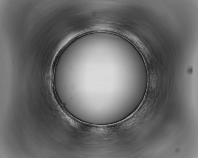 X0000101201286200806271342