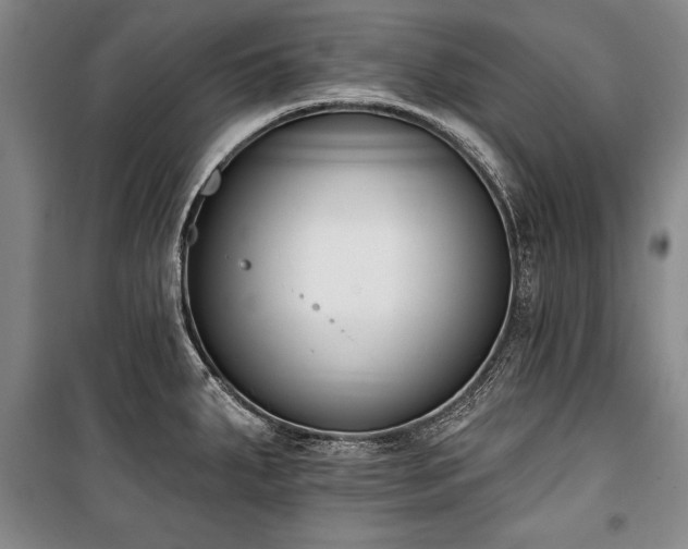 X0000101201287200806271342