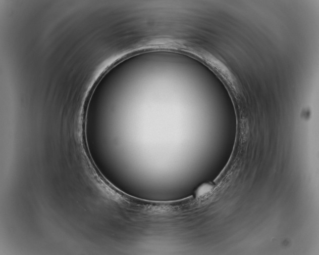 X0000101201288200806271342