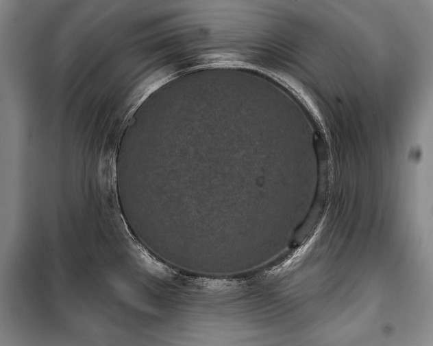X0000101201289200806271342