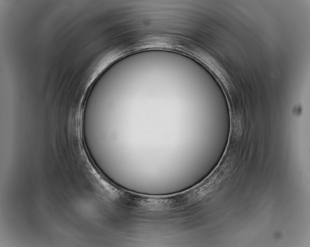 X0000101201290200806271342