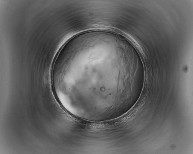 X0000101201291200806271342