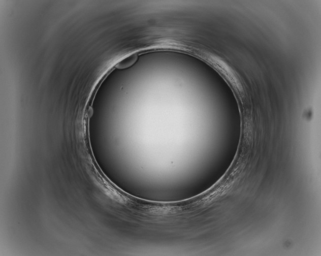 X0000101201292200806271342