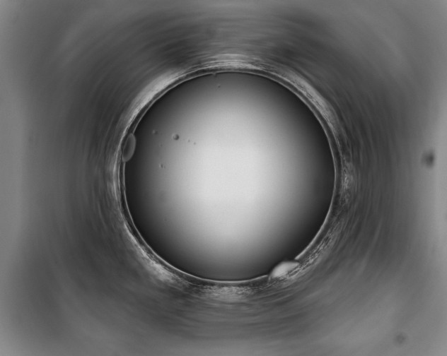 X0000101201293200806271342
