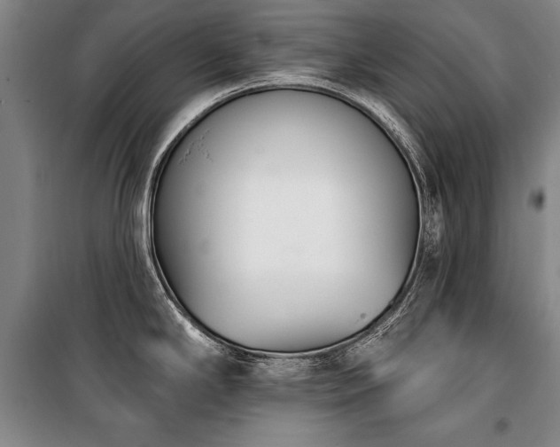 X0000101201294200806271342