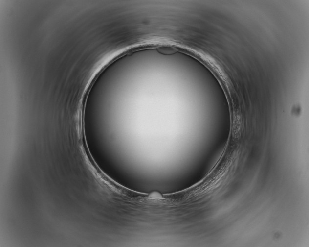X0000101201295200806271342