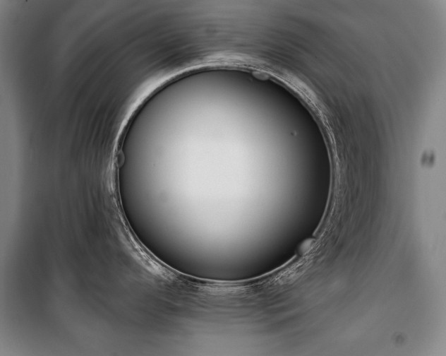 X0000101201296200806271342
