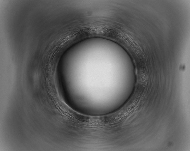 X0000101201297200806271341