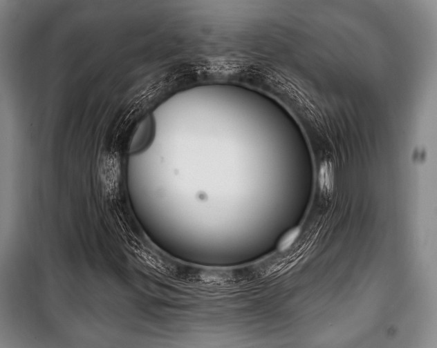 X0000101201299200806271341